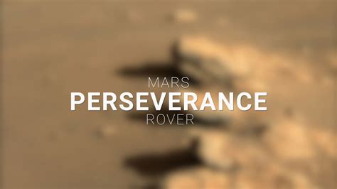 Mars Perseverance Rover: Your Most "Liked" Images 2022 – NASA Mars ...