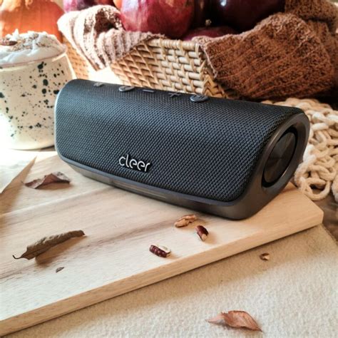 Guide on Alexa enabled water resistant smart speakers - Cleer Audio