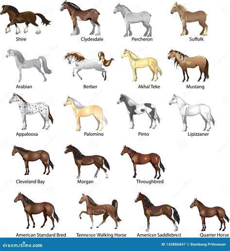 Horse Breeds With Pictures : Cotton Fabric Animal Fabric Wild And Free ...