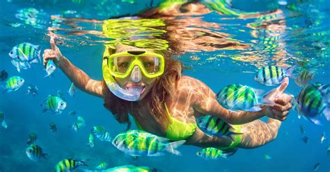 Snorkeling Tips for Beginners