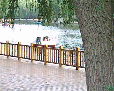 THE 15 BEST Things to Do in Shenyang - 2021 (with Photos) - Tripadvisor