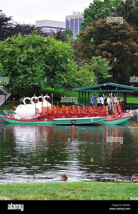 Swan Boat ride in Public Garden, Boston Commons park, Boston ...