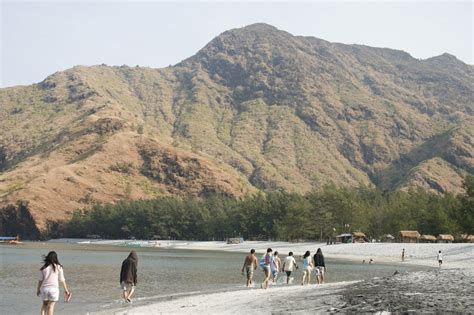 Baron the Explorer: Anawangin Cove of Zambales: Pine Trees by the shore