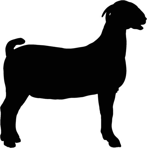 Boer Goat Decal 4A STOA, Die Cut Window Graphics | eBay