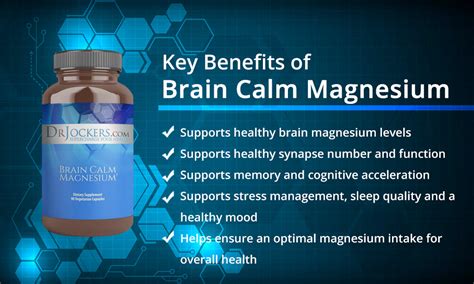 Brain Calm Magnesium Capsules – Dr. Jockers Store