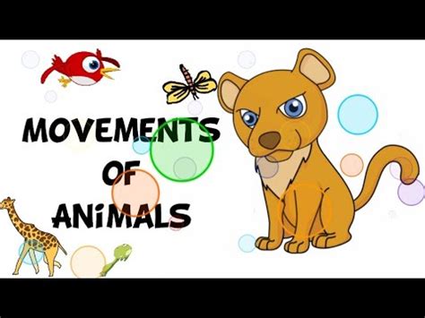 Movements of Animals | Science Lesson in Kindergarten - YouTube