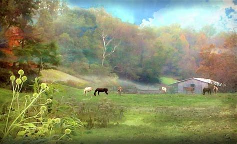 Horse Farm in Fall Photograph by Michael Forte - Fine Art America