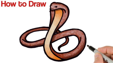 How To Draw A Snake Easy With Pencil - Design Talk