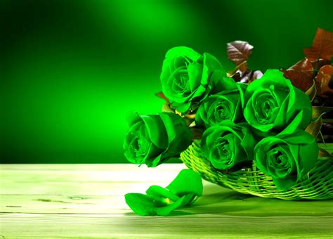 Beautiful Green Rose Wallpapers - Wallpaper Cave