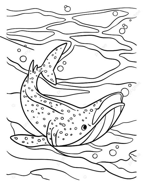 Whale Shark Coloring Page For Kids Illustration Design Kids Vector, Shark Drawing, Whale Drawing ...