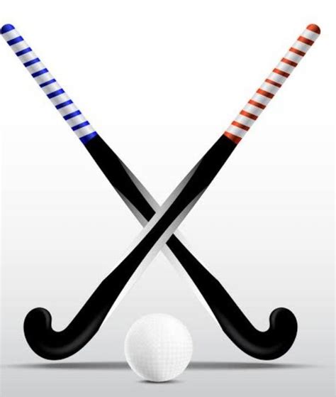 Is Hockey The National Game Of India ? | Wrytin