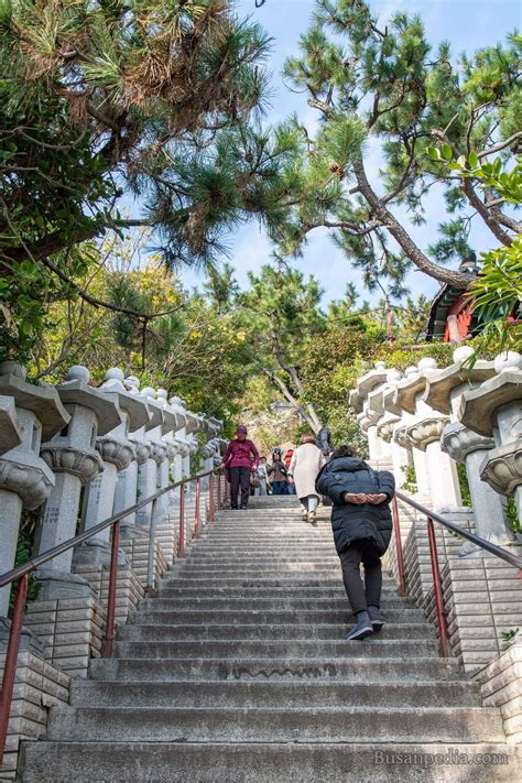 Haedong Yonggungsa Temple in Busan, South Korea | Busanpedia