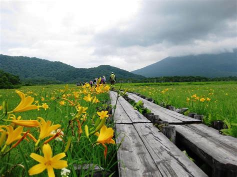 Cool Treks Around Tokyo (3): Oze National Park in Gunma Prefecture - WAttention.com