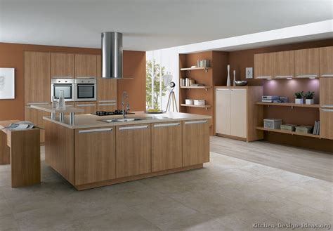 Pictures of Kitchens - Modern - Light Wood Kitchen Cabinets (Kitchen #24)