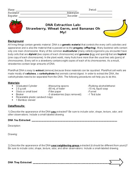 DNA Extraction Lab: Strawberry Wheat Germ and Bananas - Studocu