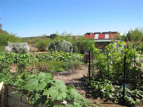 permaculture farming, an introduction - Greenhorns