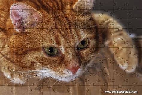 Online Jigsaw Puzzles | Funny and Cute Jigsaw Puzzles | Free Online Jigsaws