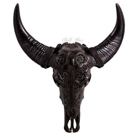 Cattle Horn Animal Skulls Water buffalo - skull png download - 1000* ...