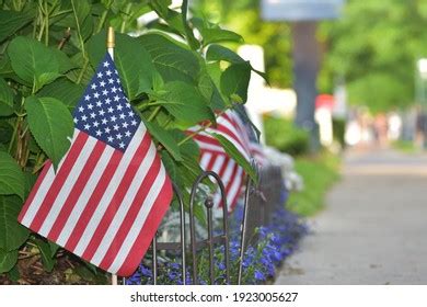 Row American Flags Along Sidewalk Stock Photo 1923006287 | Shutterstock