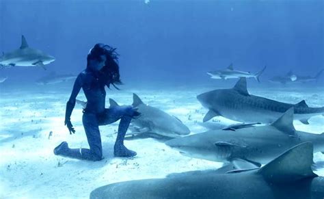 World First: Real-Life 'Mermaid' Dances Underwater With Tiger Sharks