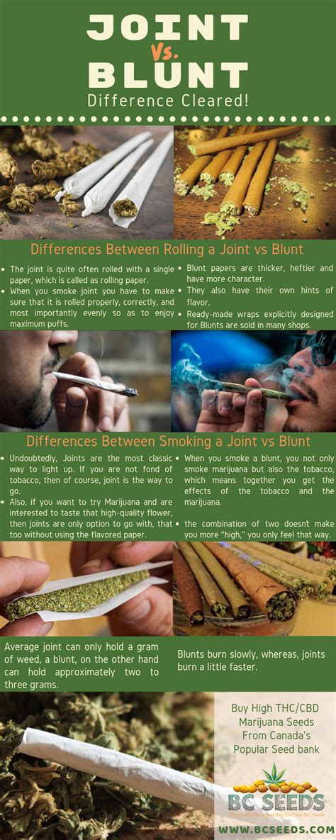 What's The Difference Between A Joint And A Blunt? – SkinTots.com