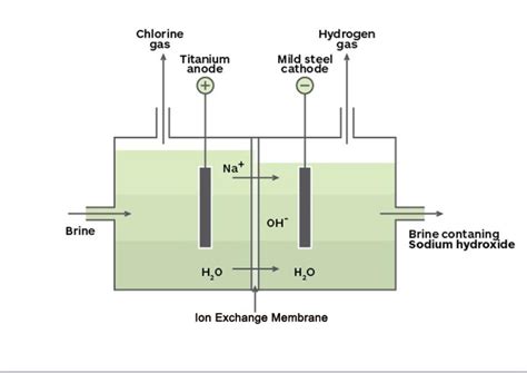 Ion Exchange Membrane for Production of Chlorine and Caustic/ Nafion