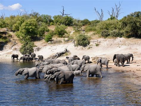 Maun, Botswana 2023: Best Places to Visit - Tripadvisor