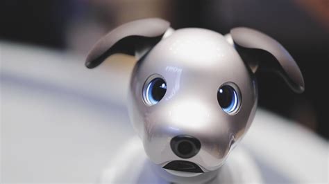 Sony's aibo robotic dog can sit, fetch and learn what its owner likes