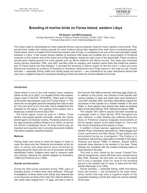 (PDF) Breeding of marine birds on Farwa Island, western Libya