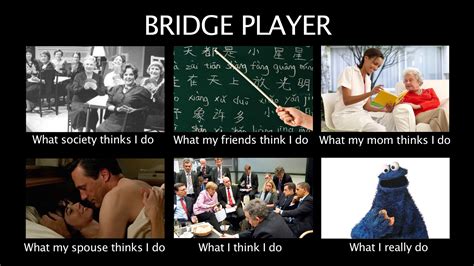 BRIDGE PLAYER | Know Your Meme