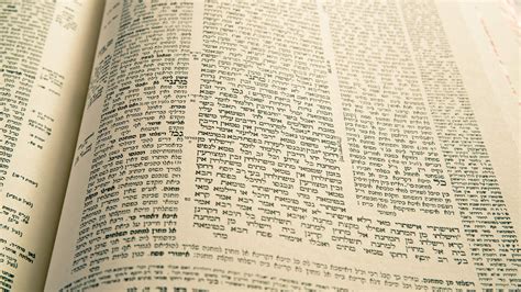 A guide to the Talmud for all the haters – The Forward