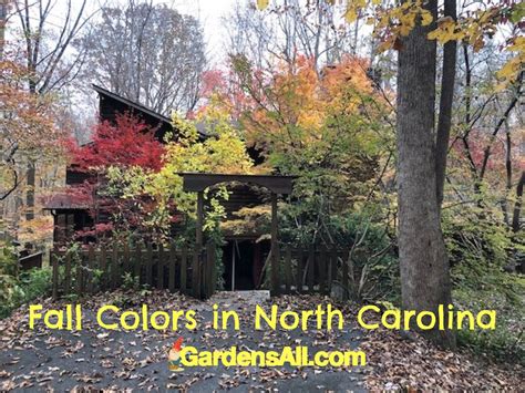 Fall Colors in North Carolina - GardensAll