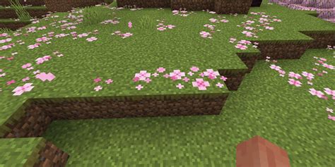 Minecraft: How to Get Pink Petals and What They Do