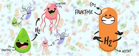 New metabolism discovered in bacteria