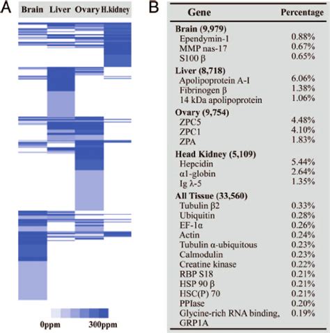 Transcriptome analysis of an Antarctic notothenioid fish. ( A ) The... | Download Scientific Diagram