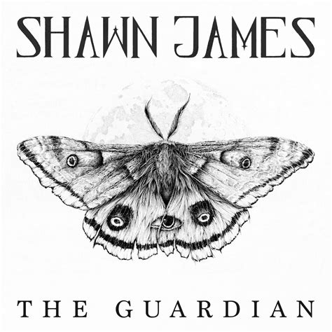 The Guardian (Ellie's Song) — Shawn James