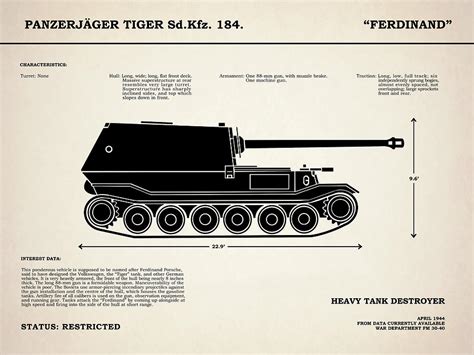 The Ferdinand - Tank Destroyer Photograph by Mark Rogan