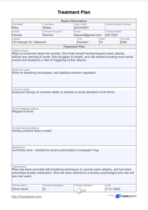 Treatment Plan Template & Example | Free PDF Download