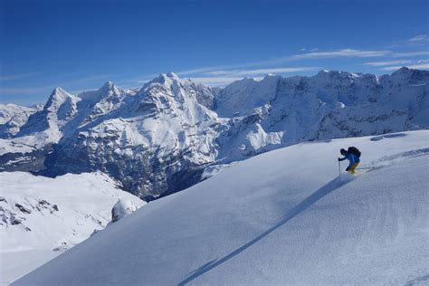 4-day powder skiing tour in the Bernese Oberland. 4-day trip. IFMGA/UIAGM guide