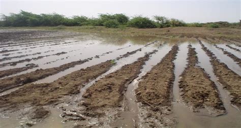 Schematic picture of adverse effects of waterlogged on soil structure ...