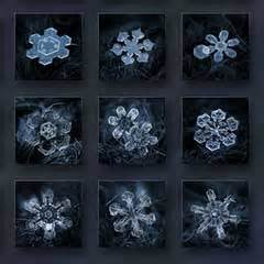 How to take Macro Snowflakes Photography under $50 Customized Lens