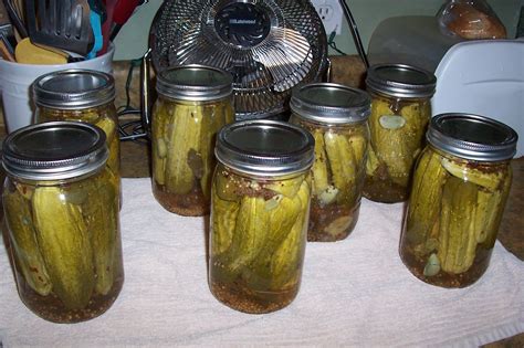 Canning pickles Canning Pickles, Mason Jars, Mason Jar, Glass Jars, Jars