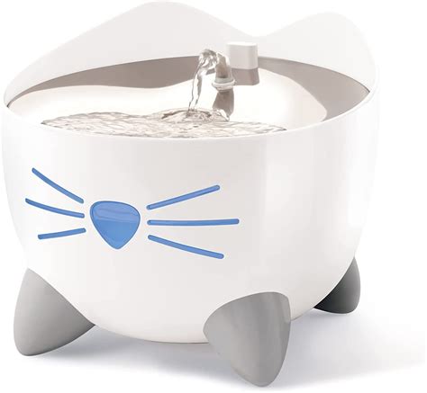 The Best Water Fountains for Cats