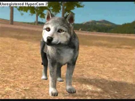 Wolf Quest Pups!!!! - YouTube