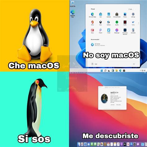 Contexto: Windows 11 se parece bastante a macOS de apple - Meme subido por Johelito11 :) Memedroid