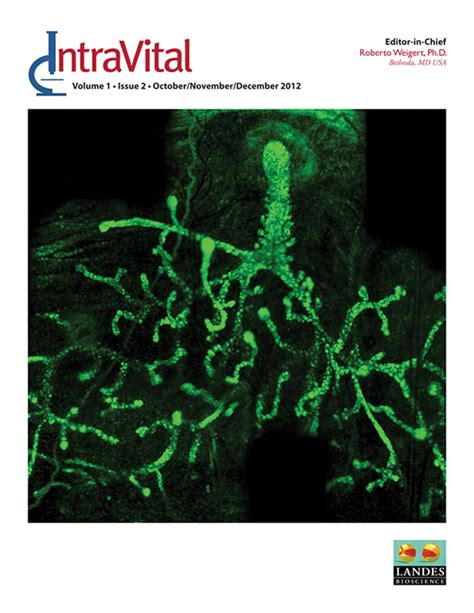 Full article: Novel in vivo imaging techniques for the liver microvasculature