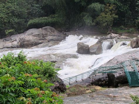 Ripple Waterfalls, Munnar - Timings, Swimming, Entry Fee, Best Season to Visit