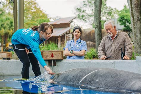 The Florida Aquarium tickets discount | Tampa | Undercover Tourist