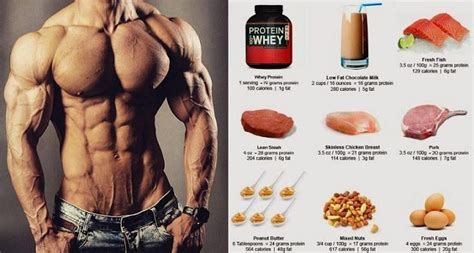 High Protein Muscle Building Foods You Must Start Eating | Muscle ...