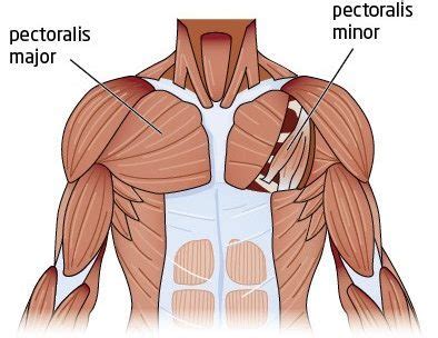 The Doorway Pec Stretch Upgraded - Precision Movement